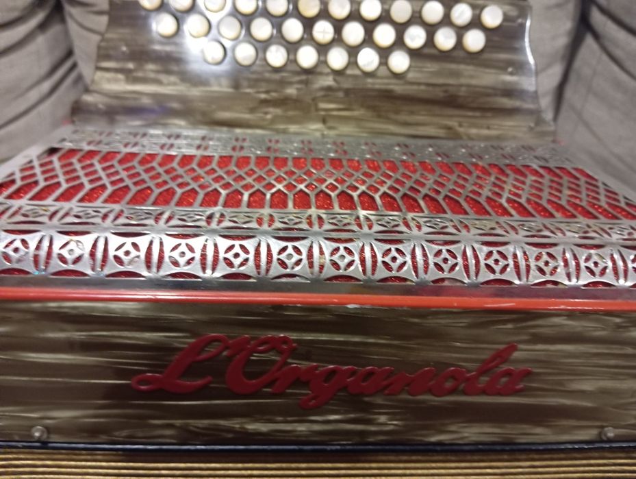 Concertina horganola