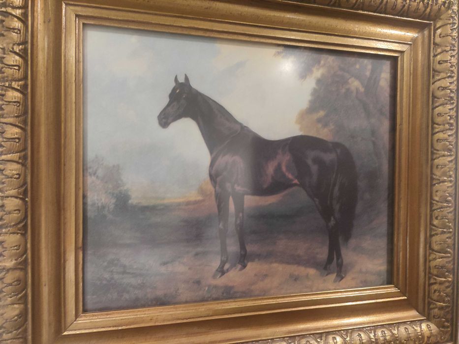 Quadros com cavalos. Conjunto de dois quadros com cavalo negro e castanho
