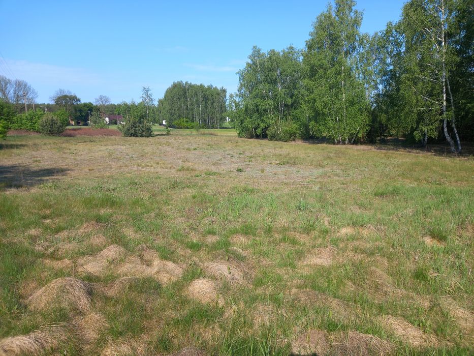 Sprzedam działkę budowlaną 1000 m² położoną w miejscowości Łukówiec gmina Parysów. Na działce jest prąd i woda. Wydane warunki zabudowy. - Widok 4