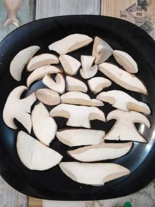 Cogumelos silvestres (boletos) prontos a cozinhar