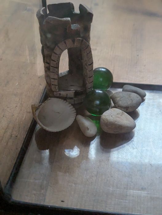 Тераріум, флораріум, акваріум куб