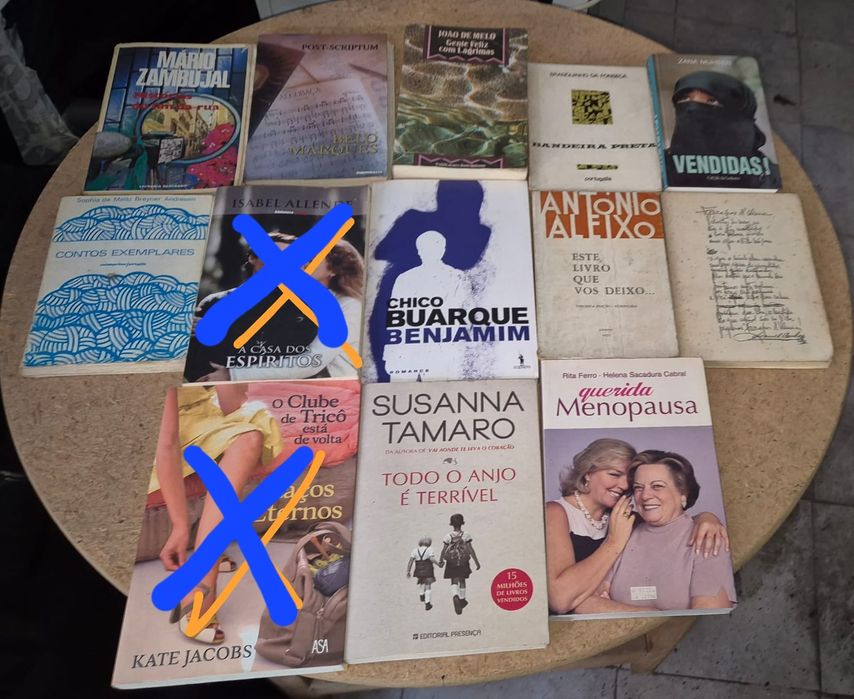 Livros variados - temáticas diversas