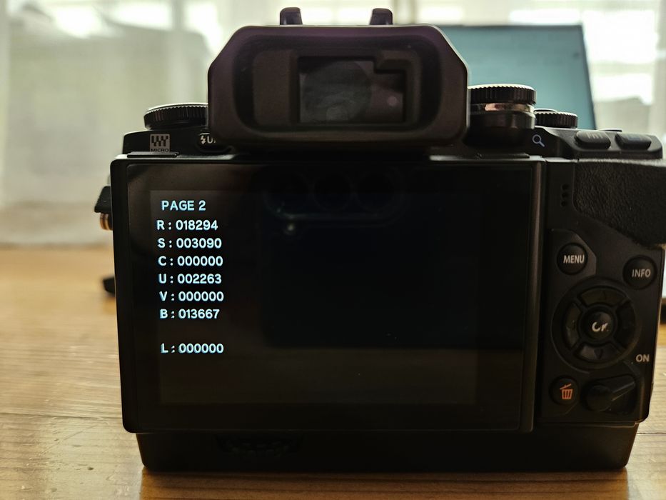 Olympus OM-D E-M10 Body + оригінальний хват ECG-1 (Комплект)