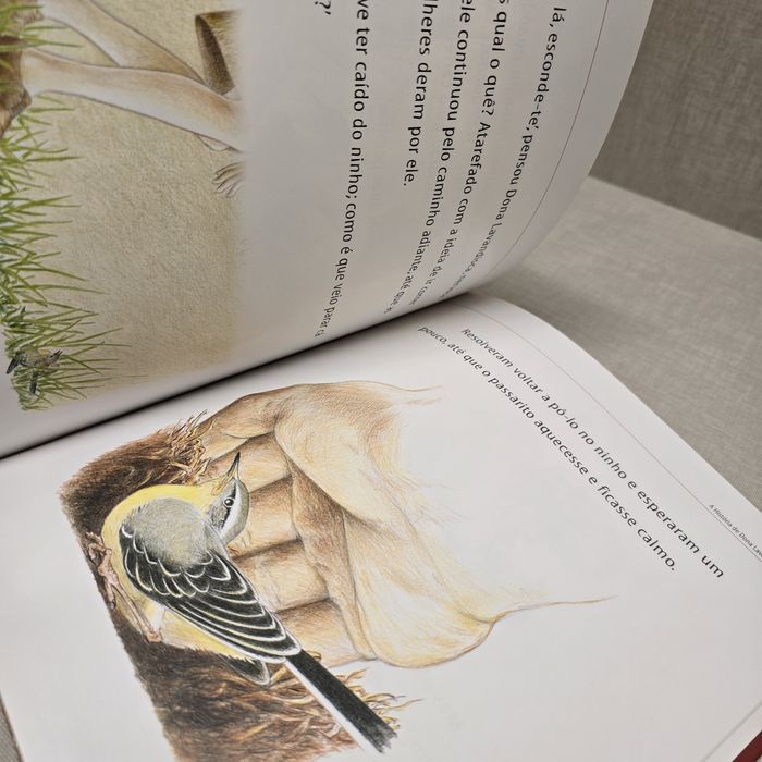 Livro  A História  de Dona Lavandisca Alvéola