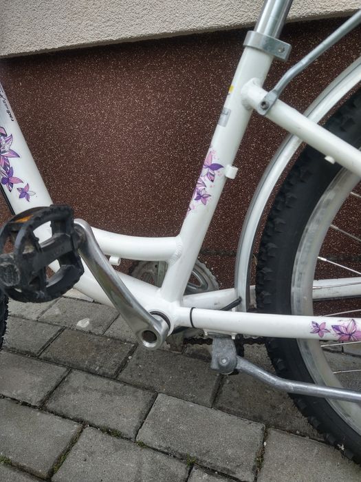 Rower 24 całe Skyride High Performance
