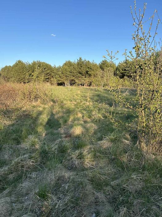 Продаж ділянки с.Бірче- Великий Любінь. Без комісії