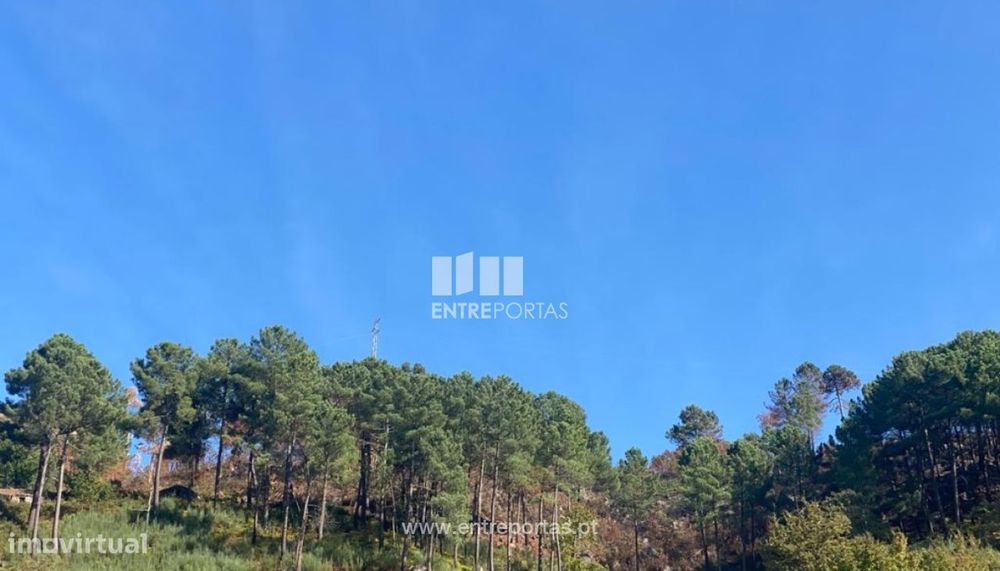 Venda Terreno, São Cristóvão de Nogueira, Cinfães