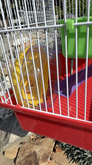 Клітка для гризунів