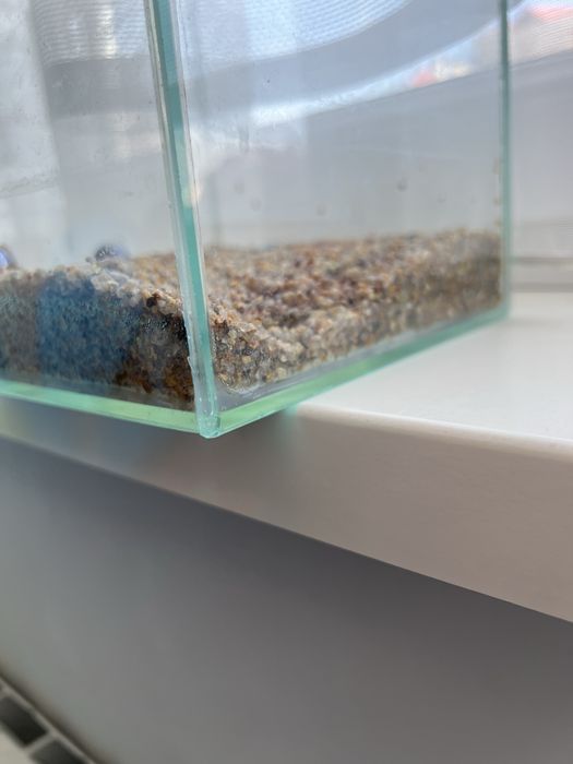 Акваріум квадратний