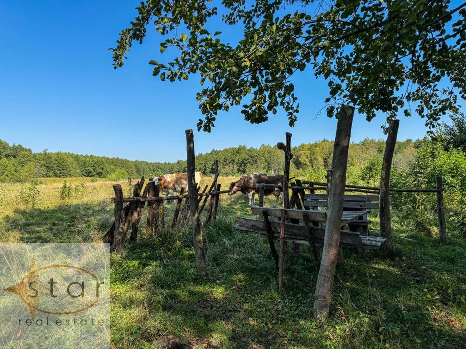 Продаж землі у Седневі  2,15 га поруч з Кротовим озером та р. Снов