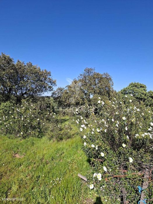 Terreno Rustico com 4,625 hectares