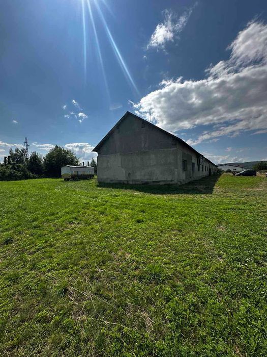 Здається в оренду комерційне приміщення в с. Рокосово