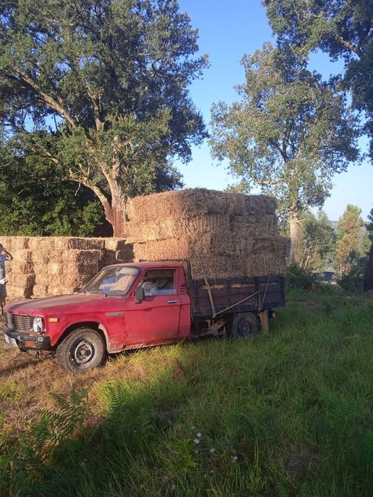 Vendo palha para animais