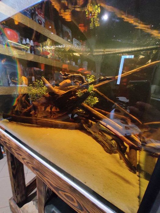 Akwarium Duże z Szafką 79x68x60cm 322l z życiem i akcesoriami