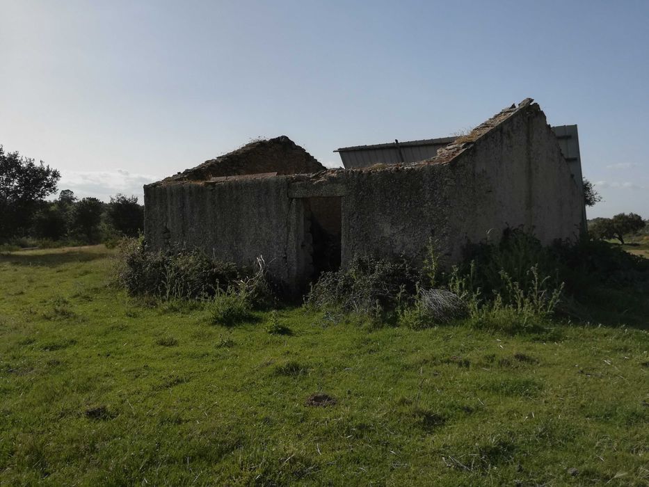 Terreno ideal para refugio de campo, Nisa