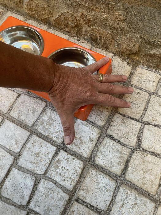 Tenho para venda tres comedoures/bebedouros para cao ou gato