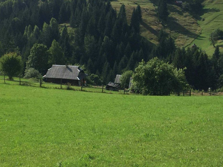 Продаж будинку у горах, с.Довгополе, 85 сот., БЕЗ КОМІСІЇ.