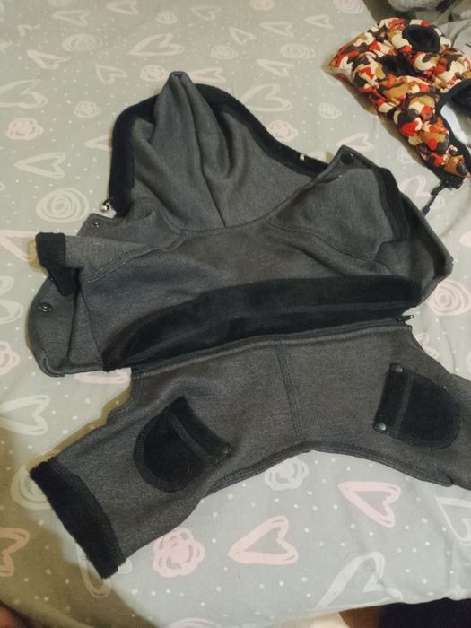 Костюми для малих собак