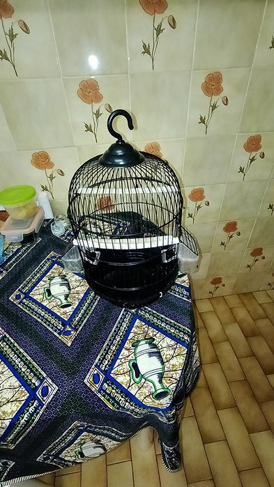 Gaiola para canários