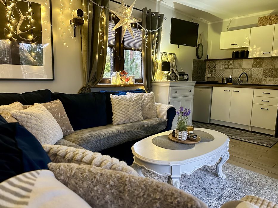 Domek Mała Cegielnia-sauna, balia z bąbelkami, rzutnik