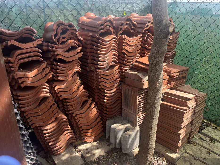 Dachowka Roben Bornholm gąsiory