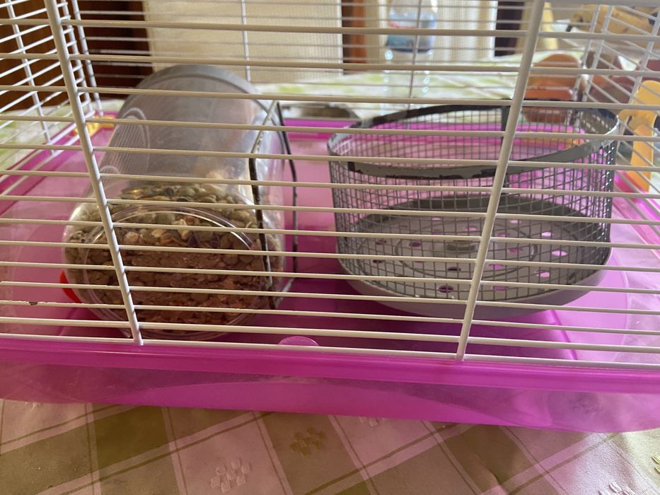 Gaiola hamster semi nova