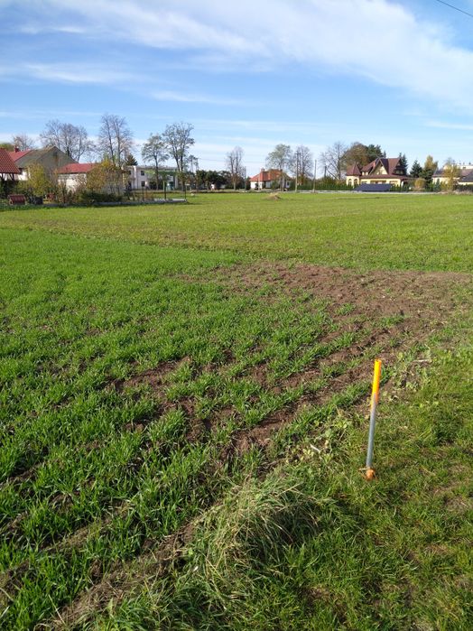 Działki budowlane 8,75 ar z warunkami zabudowy w Borowej pow. Mielecki
