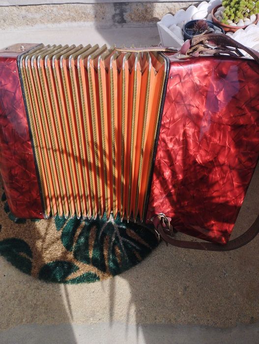 Acordeão hohner concerto lll