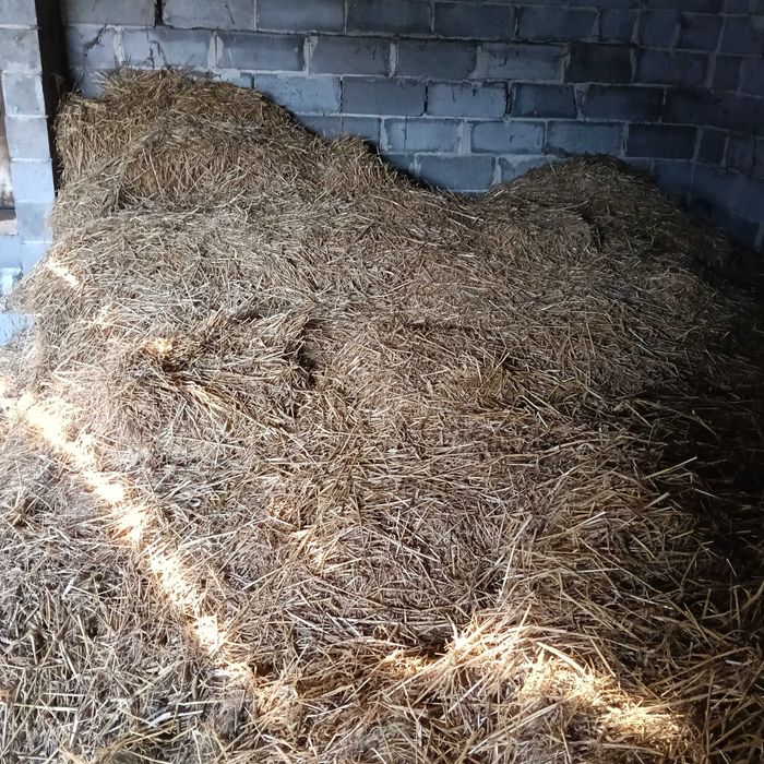 Oddam starą słomę