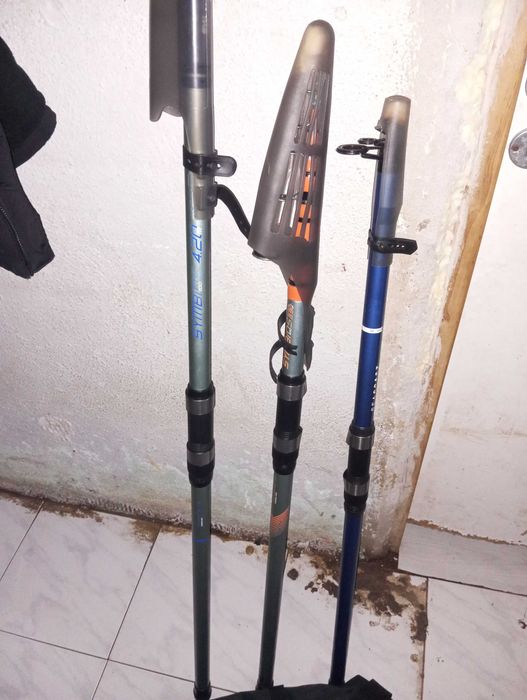 Canas de pesca ao fundo