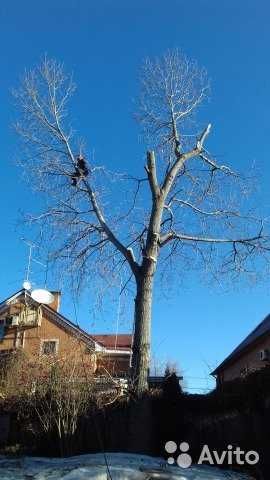 Спил деревьев любой сложности ПОКОС ТРАВЫ