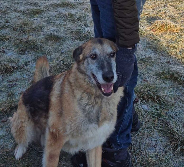 Matka z synem szukają domu