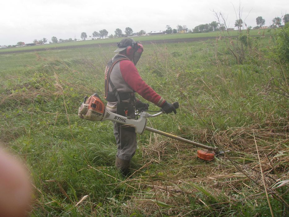 Koszenie Wysokich Traw  Chaszczy Wycinka drzew