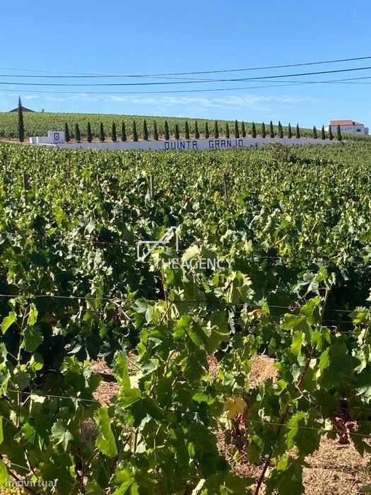 Quinta Granjó — Uma oportunidade única de investimento no coração do V