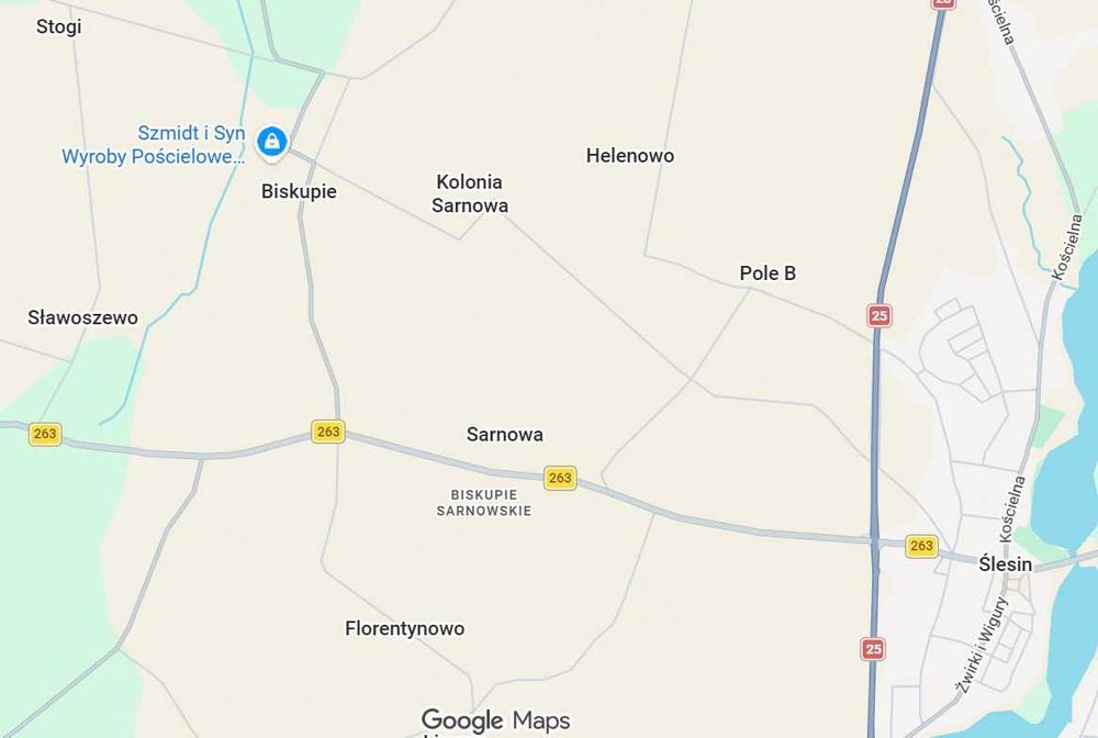 Wydzierżawię pole grunty rolne 2 ha wieś Biskupie gmina Ślesin k Konin