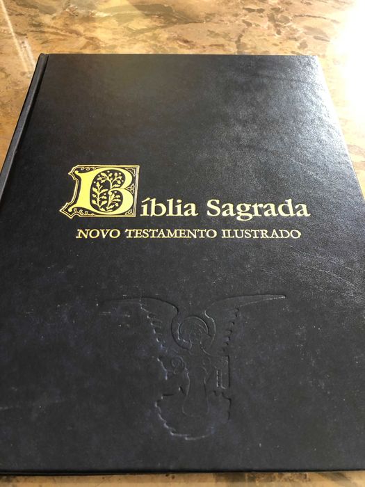 Bíblia Sagrada - Novo Testamento Ilustrado