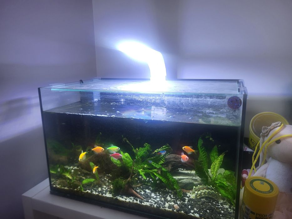 Akwarium  50x29x30 opti white cały zestaw