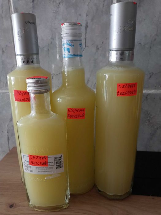 Enzymy Bolotowa 3l