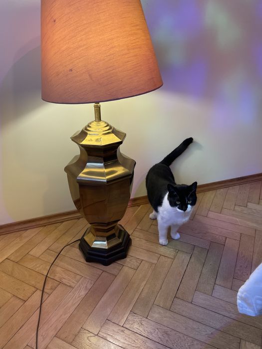 Lampa stojaca na metalowym korpusie