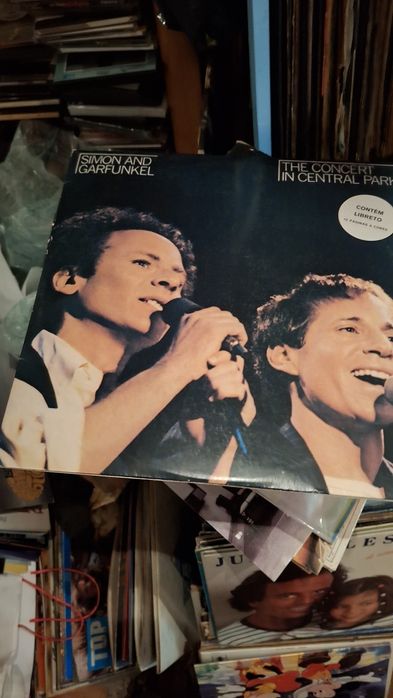 Simon and Garfunkel concert central park