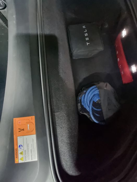 Тесла Х Tesla X 100 з Нідерландів Intel