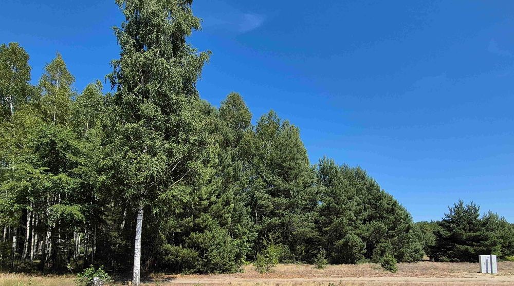 Działka budowlana + warunki zabud. + prąd 1000 m2 (Morgi - kol. Ldzań)