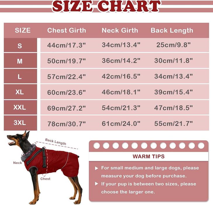 3 casacos de inverno para cães
