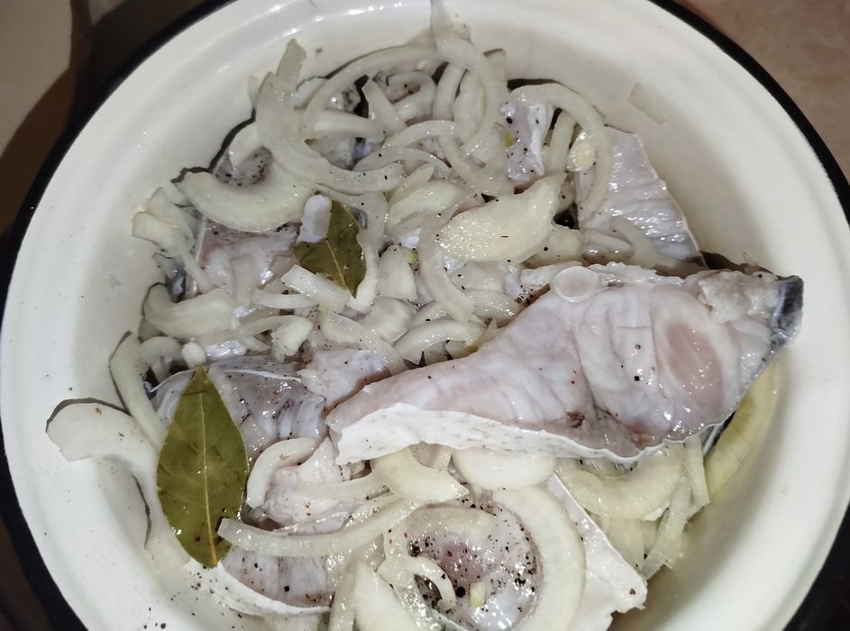 Сігундай із товстолоба