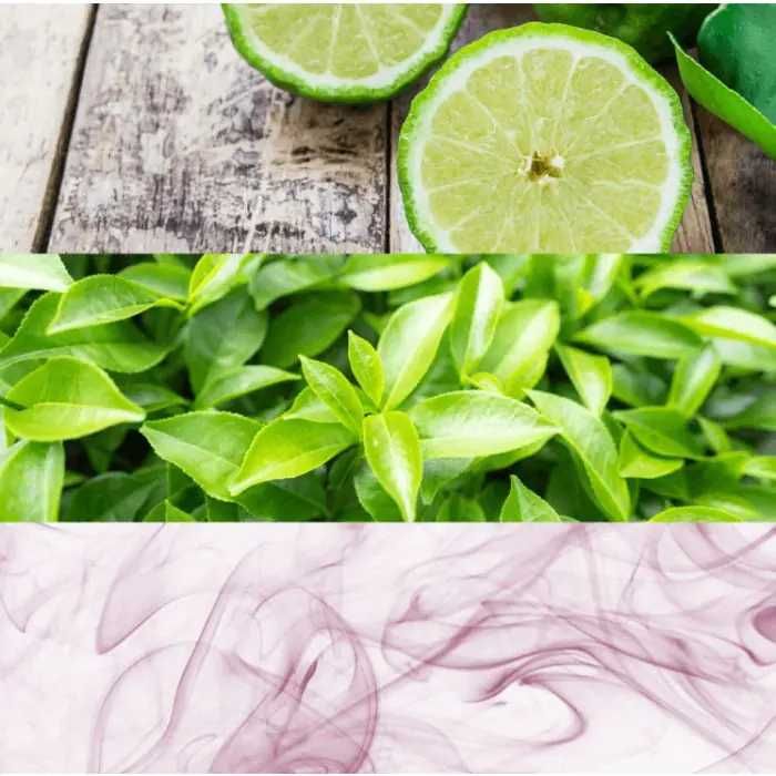 Calvin Klein One Edt