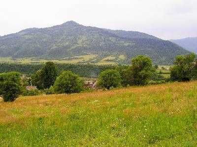 Земельна ділянка с. Рибник