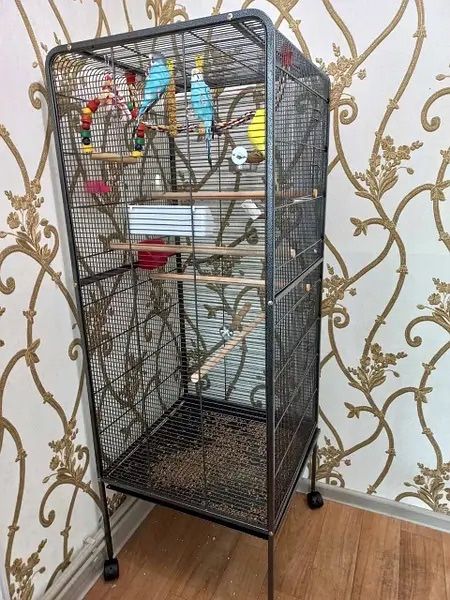 54 x 54 x 146 см Большая клетка для птиц,канареек,амадин,попугаев