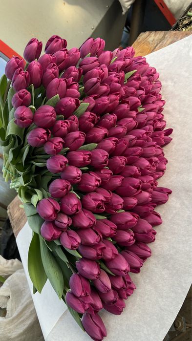101 тюльпан =3800грн( власне виробництво)
