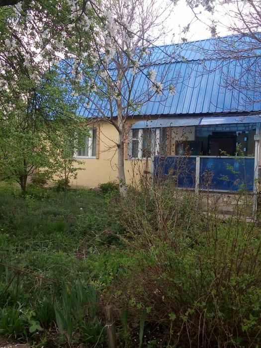 Без%Будинок 67м2 земля 12 соток СТНадія Васильківський р-н