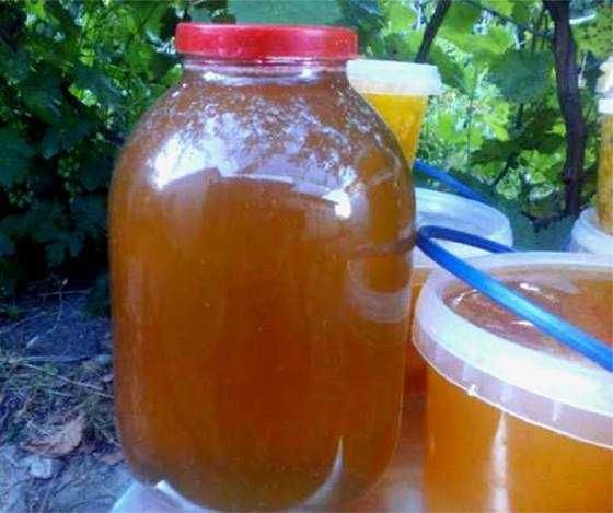 Мед Забрус  2025 разнотравье